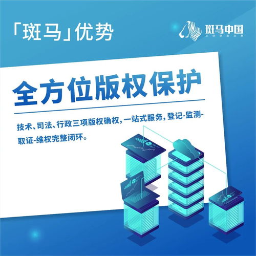 解讀斑馬 卓越的項目策劃與公關(guān)服務(wù)優(yōu)勢